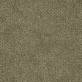 Moquette Take a Walk MOODS 232