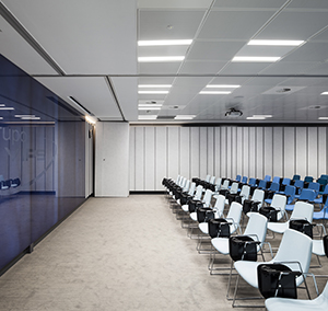 Ispirazione Prodotto di punta ufficio quadrelle Landscape groove rift corridoio sala conferenze